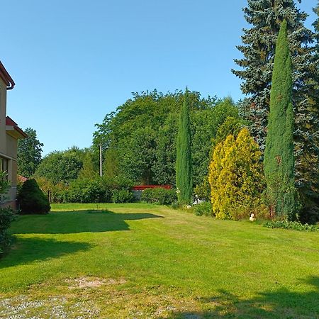 Apartman Za Lesem Červený Kostelec Bagian luar foto